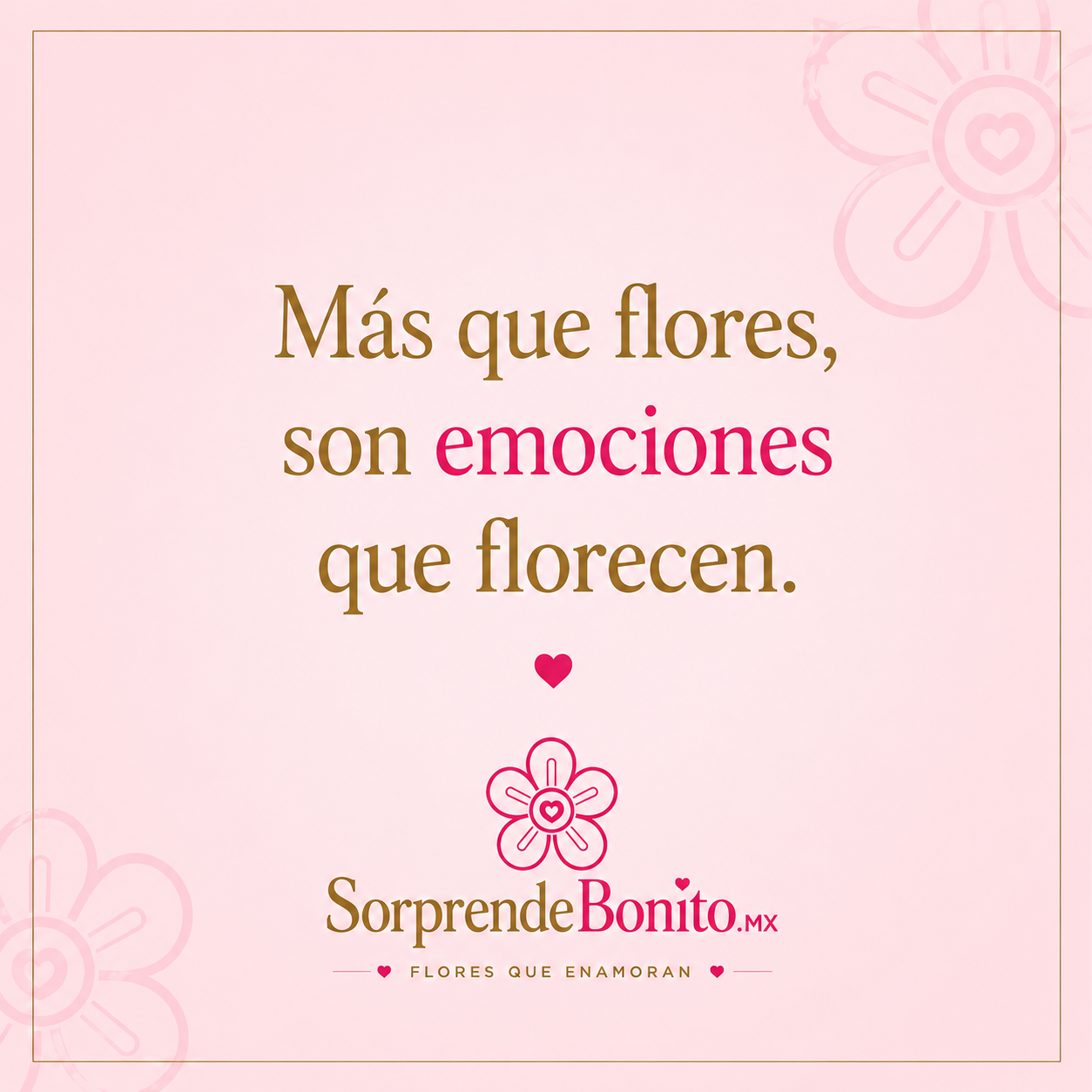 SorprendeBonito MX Instagram