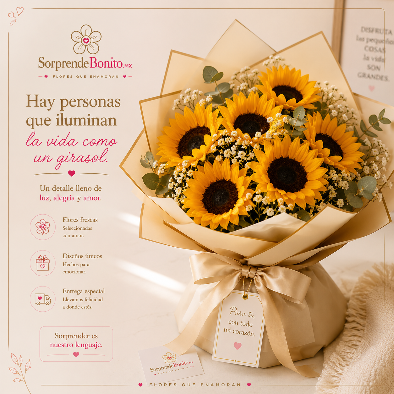 SorprendeBonito MX Instagram