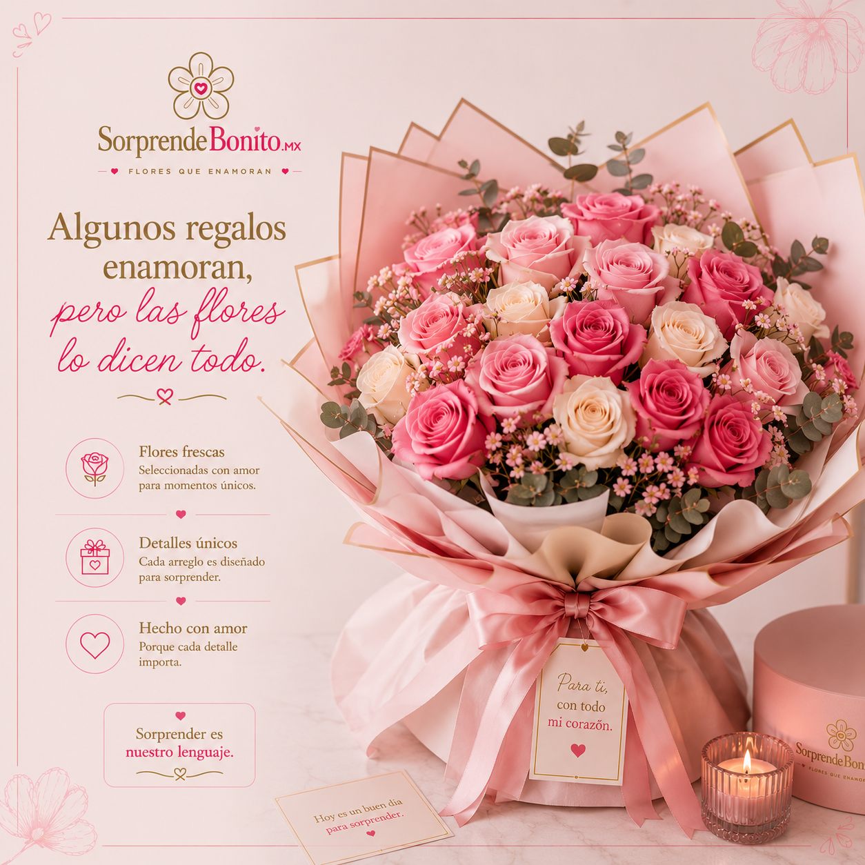 SorprendeBonito MX Instagram